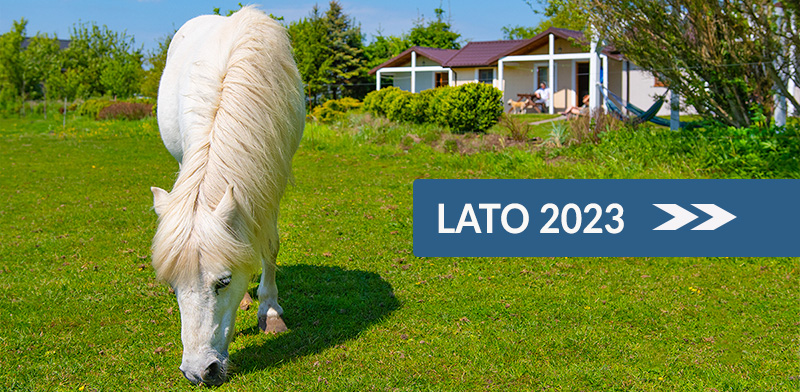 LATO 2023